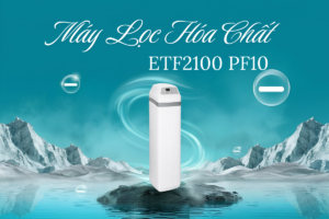 EcoWater ETF2100 PF10